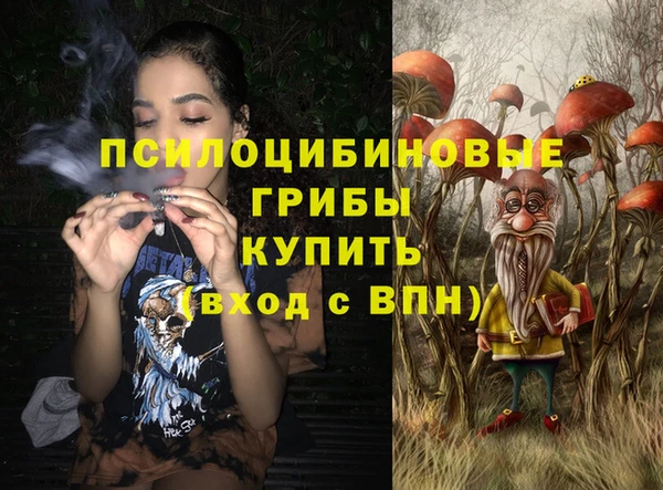 прущий лед Вязьма